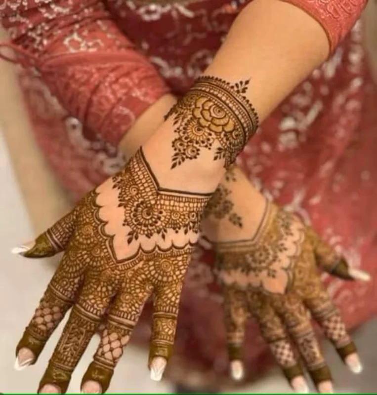 Organic Henna Mehndi Live Plant 8-12 inch in 4 inch Pot - Image 1