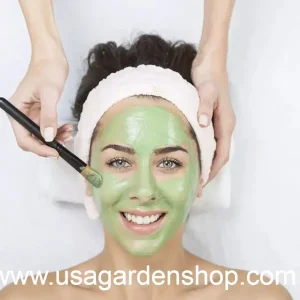 Organic Houttuynia Cordata Live Plant - Dokudami Fish Mint - 10-Pack - Image 5