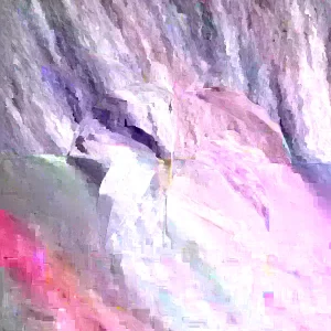 Organic Lychee Live Plant - Sweet Tropical Edible Fruit Tree - 1 Live Plant - Image 2