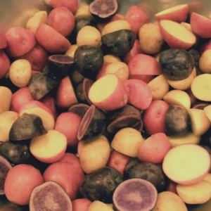 Organic Mixed Potato Tubers for Planting - 2 lbs Purple, Red, Yukon Gold, Russet - Image 10