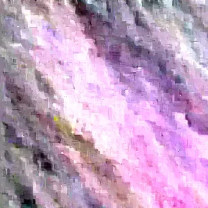 Organic Paan Piper Betel Live Plant - Herb Vine, Medicinal Uses, Trầu Không - Image 1