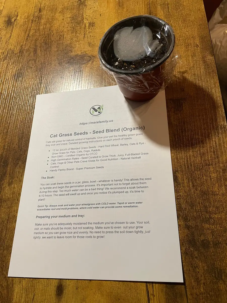 Organic Pet Grass Seeds - Wheatgrass, Barley, Oat & Rye Blend for Cats, Dogs, Rabbits - Image 4