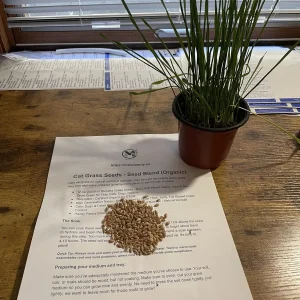 Organic Pet Grass Seeds - Wheatgrass, Barley, Oat & Rye Blend for Cats, Dogs, Rabbits - Image 5