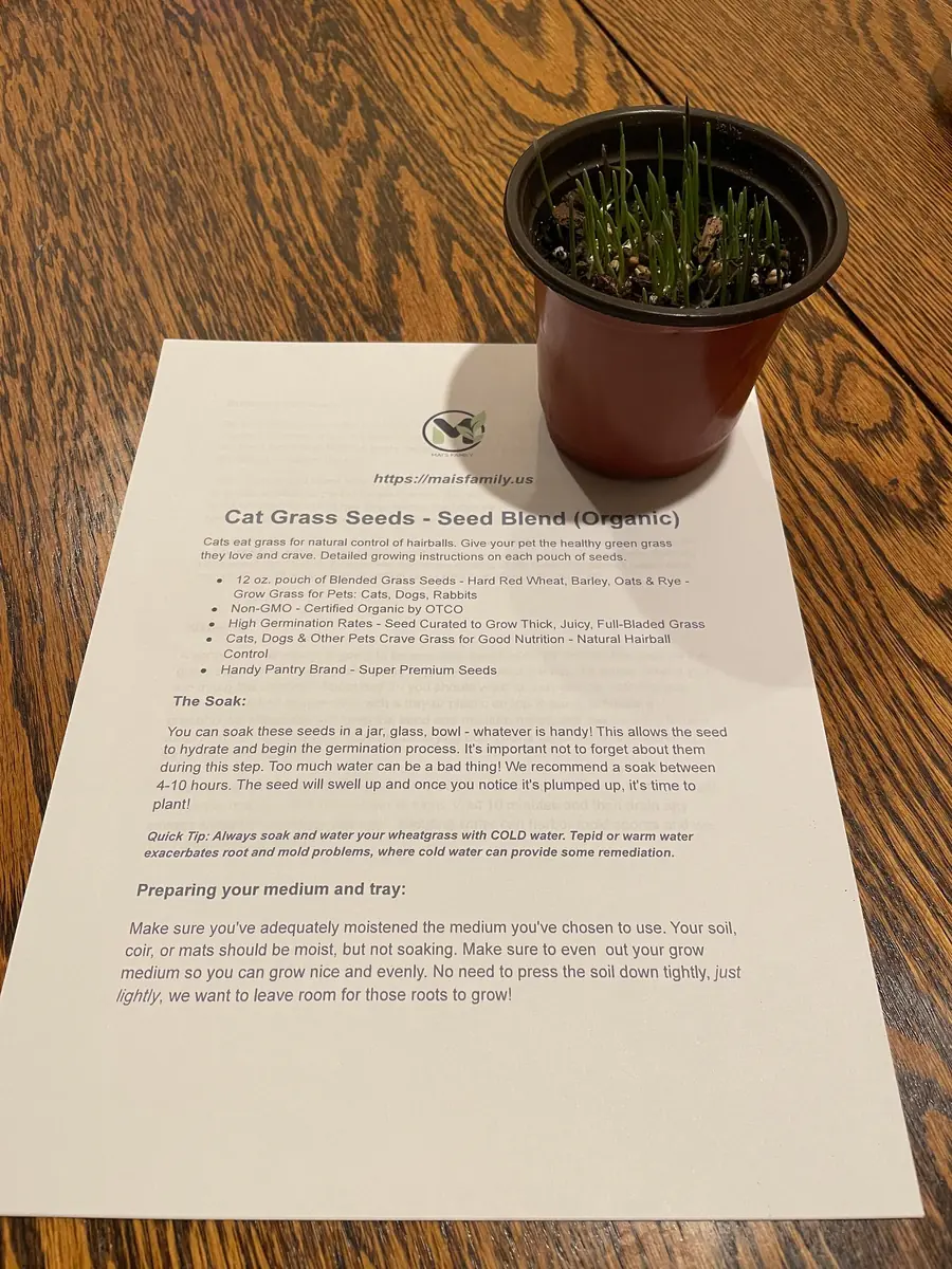 Organic Pet Grass Seeds - Wheatgrass, Barley, Oat & Rye Blend for Cats, Dogs, Rabbits - Image 6