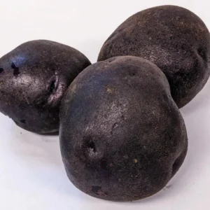 Organic Potato Seed Tubers Mix - Purple, Red, Yukon, Russet - 2 Pounds for Planting - Image 15