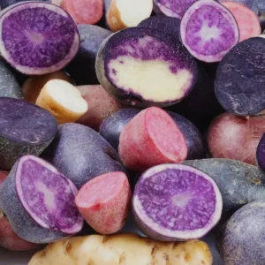 Organic Potato Seed Tubers Mix - Purple, Red, Yukon, Russet - 2 Pounds for Planting - Image 2