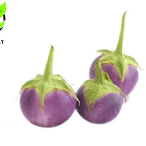 Organic Purple Eggplant Seeds - Solanum Melongena for Home Garden - Image 2