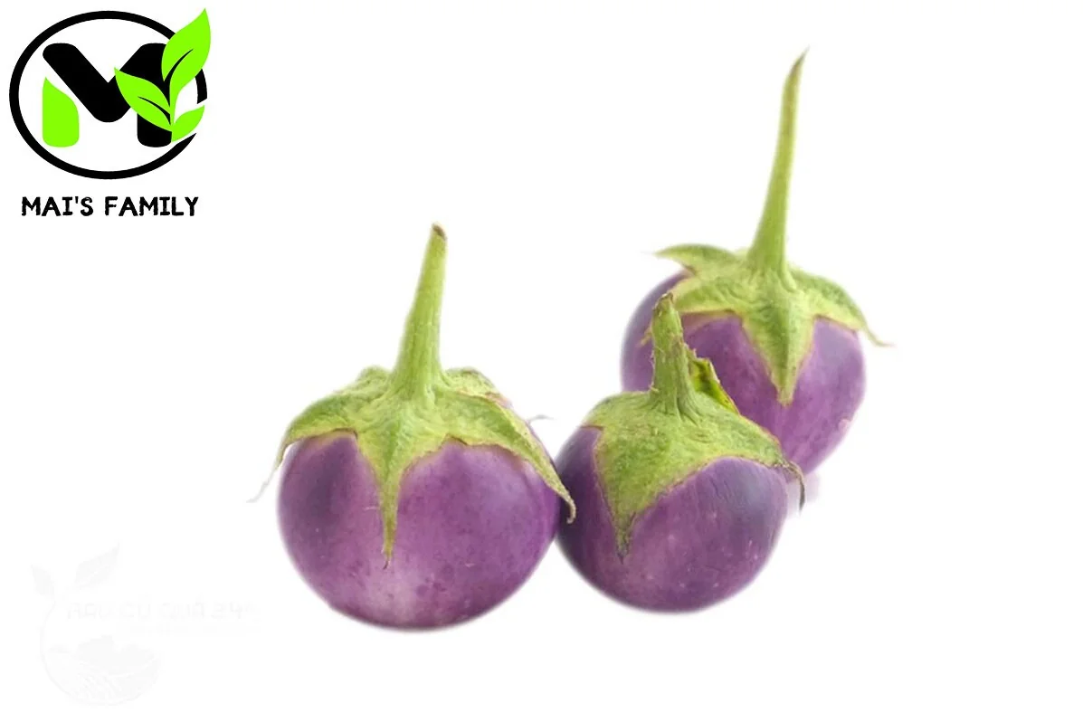 Organic Purple Eggplant Seeds - Solanum Melongena for Home Garden - Image 2