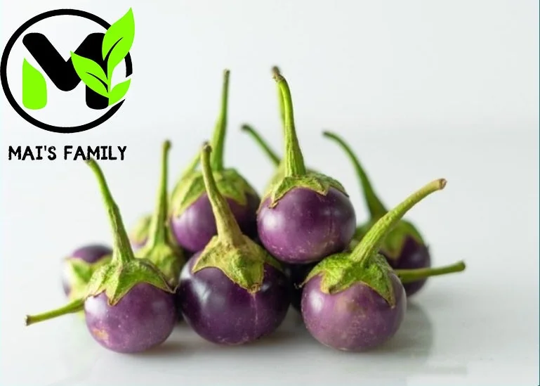 Organic Purple Eggplant Seeds - Solanum Melongena for Home Garden - Image 1