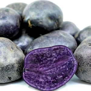 Organic Purple Seed Potatoes - 1 Pound Rare Tubers for Planting - Edible Solanum - Image 2