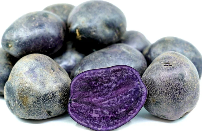 Organic Purple Seed Potatoes - 1 Pound Rare Tubers for Planting - Edible Solanum - Image 2