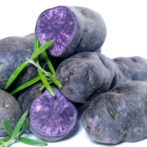 Organic Purple Seed Potatoes - 1 Pound Rare Tubers for Planting - Edible Solanum - Image 5