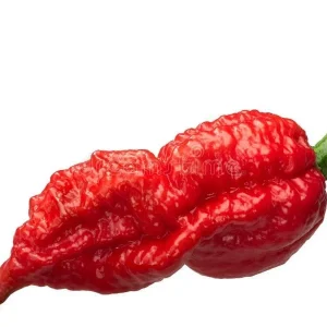 Organic Rainbow Beefsteak Tomato & Habanero Hot Pepper Seeds - Non-GMO Annual - Image 12