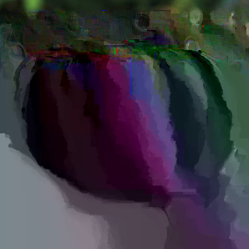 Organic Rainbow Beefsteak Tomato & Habanero Hot Pepper Seeds - Non-GMO Annual - Image 2