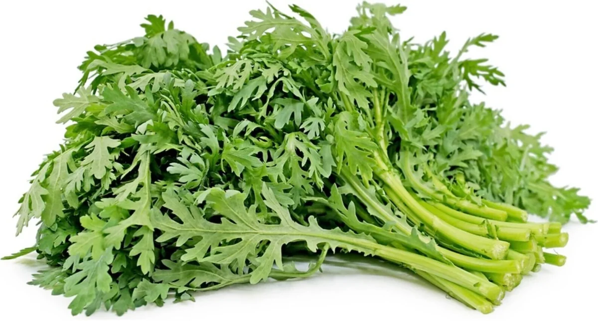 Organic Rau Tan O Vegetable Seeds - Edible Chrysanthemum Seeds - 500+ Count - Outdoor - Image 1