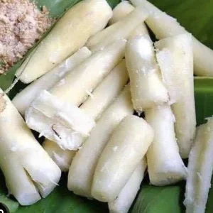 Organic Red Cassava Yuca Cuttings - Manihot Esculenta - 5 Live Cuttings - Sub-Tropical & Tropical - Image 5