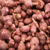 Organic Red Jerusalem Artichoke Seed Tubers - Winter Hardy Red Fuseau Variety - Image 1