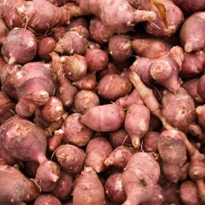 Organic Red Jerusalem Artichoke Tubers - Fuseau Variety - Winter Hardy - Image 1
