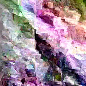 Organic Red Sweet Cassava Yuca Cuttings - 5 Pack Manihot Esculenta 7 inch - Image 2