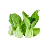 Organic Shanghai Green Stem Bok Choy Seeds - Non-GMO Pak Choi Vegetable Seeds - Image 1