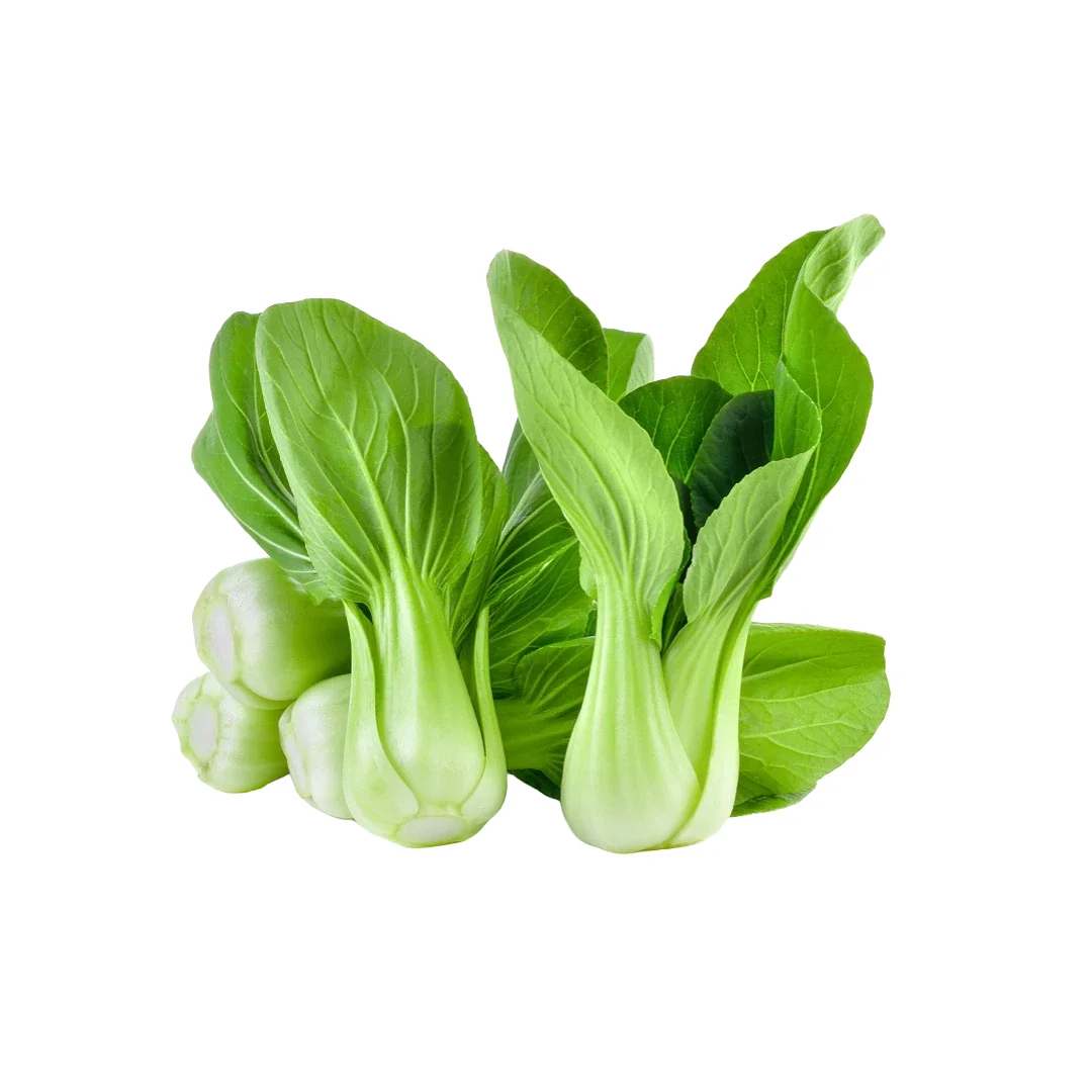 Organic Shanghai Green Stem Bok Choy Seeds - Non-GMO Pak Choi Vegetable Seeds - Image 1