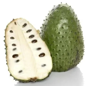 Organic Soursop Guanabana Live Plant – 1/2 Gallon Pot – Tropical Fruit Tree - Image 1
