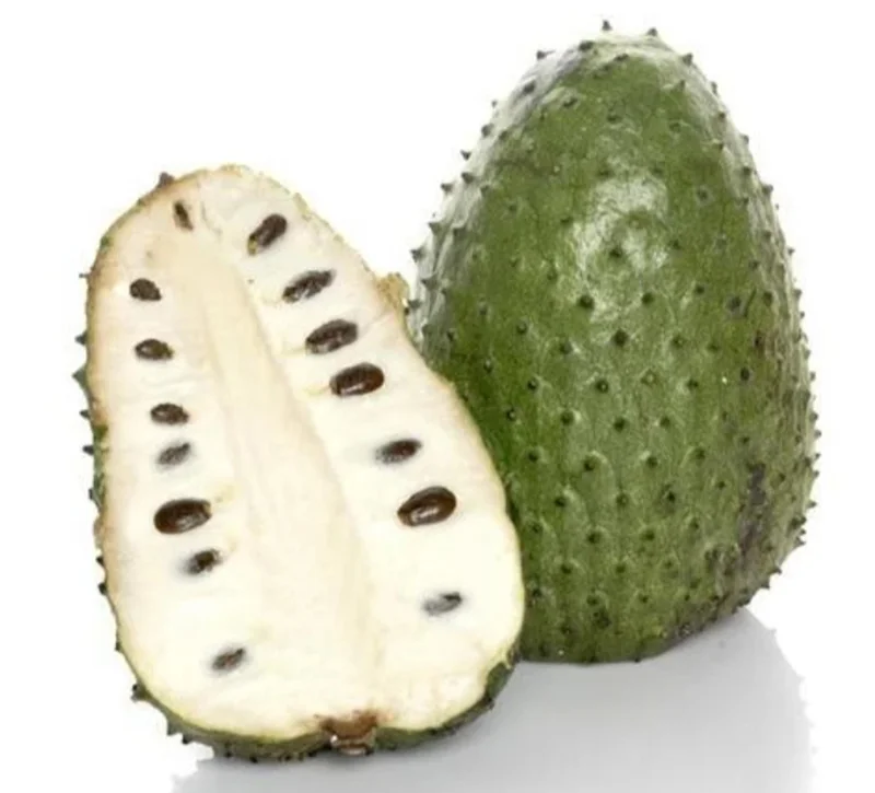 Organic Soursop Guanabana Live Plant – 1/2 Gallon Pot – Tropical Fruit Tree - Image 1