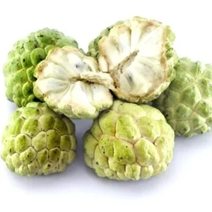 Organic Sugar Apple Live Plant (Custard Apple) – half Gallon Pot - Image 2