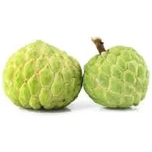 Organic Sugar Apple Live Plant (Custard Apple) – half Gallon Pot - Image 3