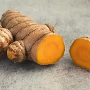 Organic Yellow Turmeric Plant - Curcuma longa Live Herb Starter Bare Root - Image 3