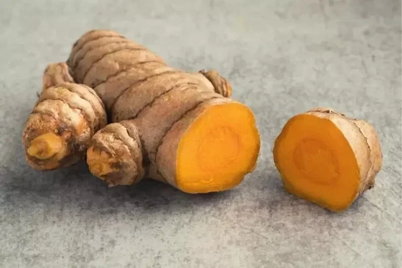 Organic Yellow Turmeric Plant - Curcuma longa Live Herb Starter Bare Root - Image 3
