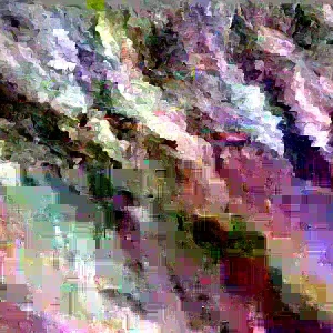 Palace Purple Coral Bells Heuchera Live Plant – 4+ Inches – Perennial Outdoor - Image 2