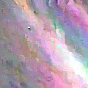 Pandan Fragrant Live Plant - Pandanus Amaryllifolius Rooted, 10-24 Inches - Image 2