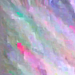 Pandan Plant Live - Fragrant Pandanus amaryllifolius Starter Plant, 6-9 inches, Potted - Image 3