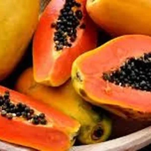Papaya Plant Live Tropical Fruit Tree in 1 Gallon Pot - Image 1