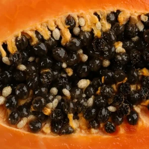 Papaya Seeds (Carica papaya) - Sweet Tropical Fruit Seeds - Image 2