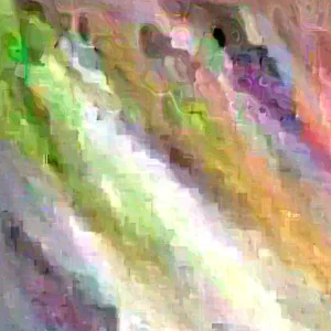 Parrot Tulip Bulbs 12 Pack - Exotic Black Beauty Flowers for Planting - Image 5