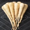 Parsnip Seeds Harris Early Model - 200+ Vegetable Garden Seeds for Culinary Use, Outdoor - Image 1