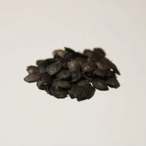 Passion Fruit (Passiflora edulis) Seeds - 10 Seed Pack for Tropical Vines - Image 2