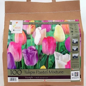 Pastel Mixture Tulip Bulbs - Triumph Tulips - 12/+ cm Bulbs - Outdoor - Image 2