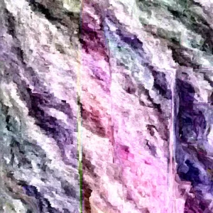 Pear Tree Live Plant - Multiple Varieties, Fruit Bearing, up to 2.5 ft Tall - Image 2