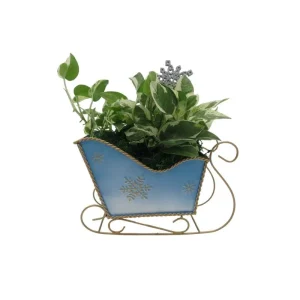 Pearls and Jade Pothos Live Plant – Blue Metal Sleigh Planter – 4