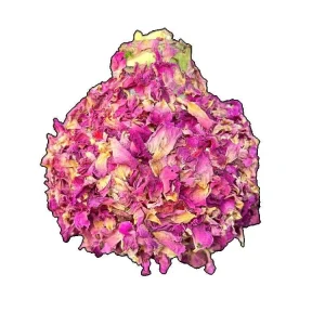 Picasso Amaryllis Bulb 34/38 - Waxed Rose Petal Style - Image 2