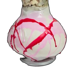 Picasso Waxed Amaryllis Bulb - White with Pink & Red Splatter - Size 32/34 - Image 2