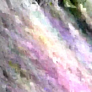 Pink Angel's Trumpet Live Tree Plant - 2ft Tall - Fragrant Outdoor - Image 5