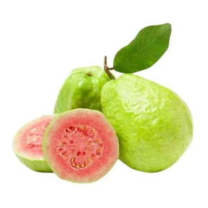 Pink Guava Live Tree - Tropical Fruit Plant - 3 Gallon Pot - 2-3 ft Tall - Image 2