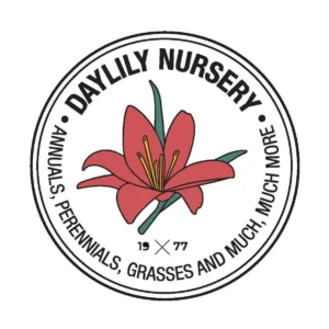 Pink Lady Apple Tree Bareroot Live Plant 2-3 ft Tall - Outdoor Fruit Tree - Image 4