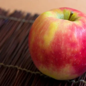 Pink Lady Apple Tree Live Plant Bare Root 2-3 ft Tall Outdoor Fruit Tree - Image 2