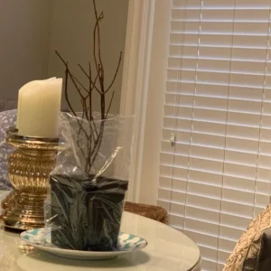 Pinky Winky Hydrangea Live Plant – 6-12in Tall – Quart Pot – Outdoor Shrub - Image 6