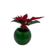 Poinsettia Live Plant in Green Globe Planter - 2 inch Pot - Festive Decor - Image 1